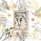 (Bianco) Fiori Secchi Decorativi Fiori Secchi Fiori Secchi per Resina Fiori Secchi per Bomboniere Fiori Secchi per Candele Fiori Secchi Naturali per Artigianato DIY Scrapbooking Candele Decorazione