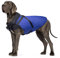 Buddypuppy Hundemantel Winter, Warme Hundejacke Wasserdicht mit Geschirr für Mittel und Grosse Hunde