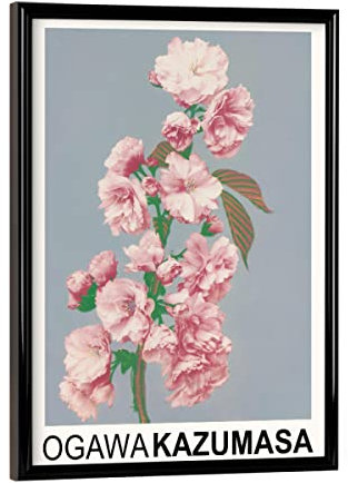 artboxONE Poster mit schwarzem Rahmen 18x13 cm Natur Kirschblüte - Ogawa Kazumasa - Bild Blume Blume Blumen