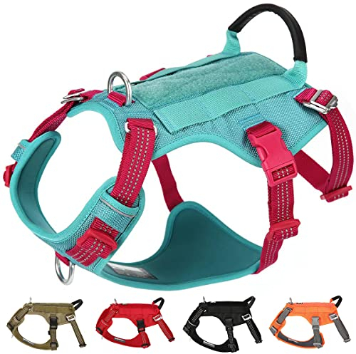 Ausbruchsicheres Hundegeschirr, kein Ziehen, verstellbar, reflektierend, mit Griff, Leinenbefestigungen für Outdoor-Training, Spaziergänge