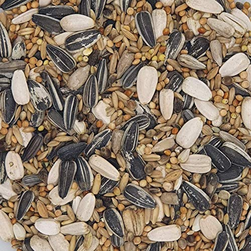 Gladen Großsittich 20kg - Tierfutter Ziervogel Papagei Nymphensittiche