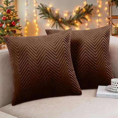Hafaa Cushions with Covers Included 45 x 45 Cm Set of 4 (2 Coffee Cushion Covers, 2 Cushion Inserts) - Ultrasonic Velvet Square Throw Pillow Case Sofa Cushion with Invisible Zipper