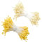 680 Stück Pfeifenreiniger Blumen Pipe Cleaner Pfeifenreiniger Blumen Set mit Zwei Perlen Köpfen,3mm Doppelköpfiges Staubblatt für DIY Blumenstrauß Handwerk (Hellgelb,Gelb)