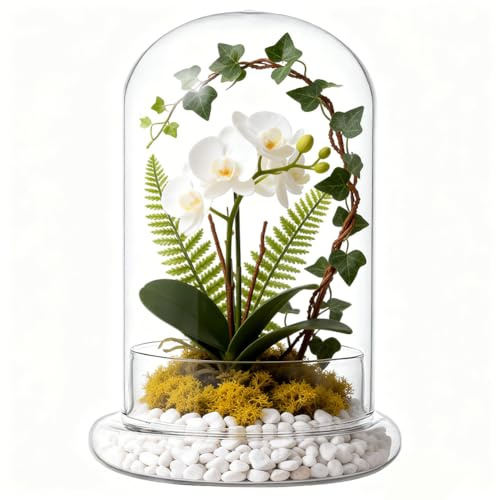 UNICRAFTALE 21cm Hohe Transparente Glasglocke Mit Sockel Handgefertigt Antikes Sammlerstück Dekorative Glasglocke Für Lichterketten Pflanzen Medaillen Fotos Oder als Tischdekoration.