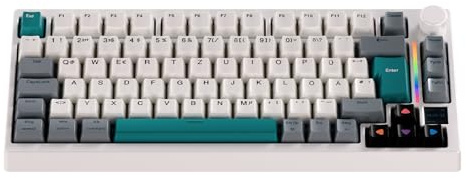 GK GAMAKAY TK75 SOCD 75% QWERTZ (ISO-DE Layout) Leise Mechanische Tastatur | TFT Bildschirm, SnapTap, BT 2.4GHz USB-C, 8KHz Hot-Swap Kabellos Gaming Tastatur for (GamaKay Pegasus Switch)