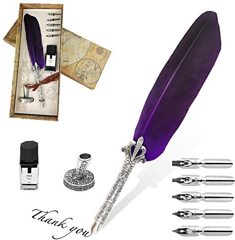 Stylo Dip à Plume, Plume d'oie à Encre, Set de Calligraphie Vintage avec avec 5 Plumes de Rechange, Encre, Porte-stylo (violet)