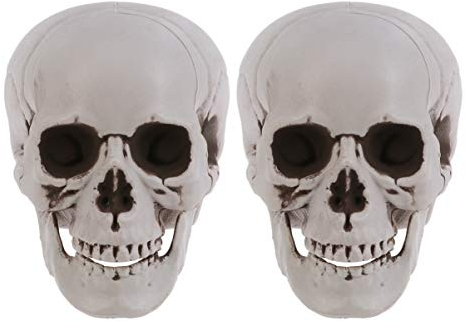 Artibetter 2 Stück künstlicher Totenkopf menschlicher Schädel Schädel menschlicher Schädel Modell Desktop Ornament Party Zubehör für Halloween Geisterhaus, plastik, siehe abbildung, 37