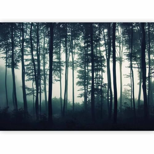 murando Photo Wallpaper Forest 350x256 Centimetres Non-Woven Premium Art Print Fleece Wall Mural Decoration Poster Picture Design Modern Night Nature Fog c-B-0223-a-a