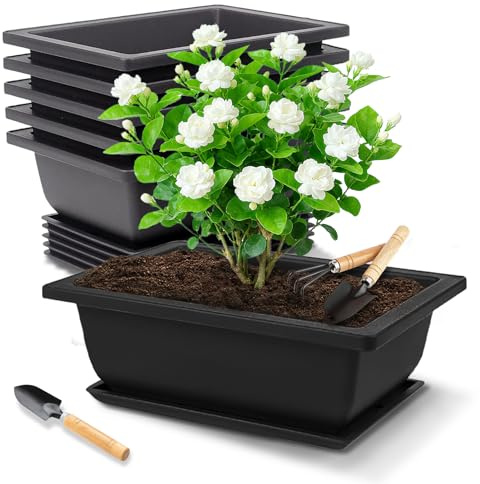 Pot de Fleur, 6 Pièces Pot à Bonsaï avec Soucoupes et Outils de Jardinage, Pot de Fleur Rectangulaires en Plastique, Cache Pot Plante Interieur, Bonsai Pot de Décoration pour Succulent Jardins Balcons
