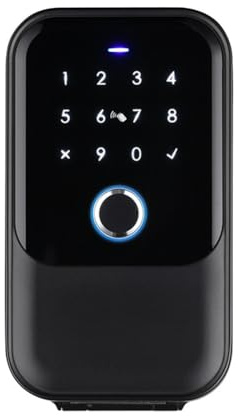 Terphadp Coperchio Impermeabile Sicuro Tuya Codice Impronta Digitale Bluetooth Wifi Smart Key Box App Montaggio A Parete Remoto Cassetta di Sicurezza con Combinazione