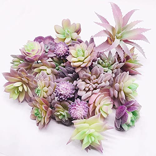 NA Woohome 25 Stück Künstliche Sukkulenten Lila Unfotted Faux Blume Sukkulenten Sukkulenten Künstlich Gemischt für Zuhause Indoor Fairy Garden Dekorationen