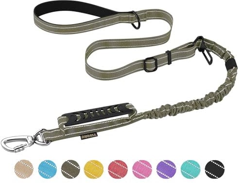AUBELL Taktische Hundeleine, robust, reflektierend, stark, kein Ziehen, Bungee-Leine für mittelgroße und große Hunde, mit bequemem, gepolstertem Doppelgriff, Auto-Sicherheitsgurt, um 360 Grad