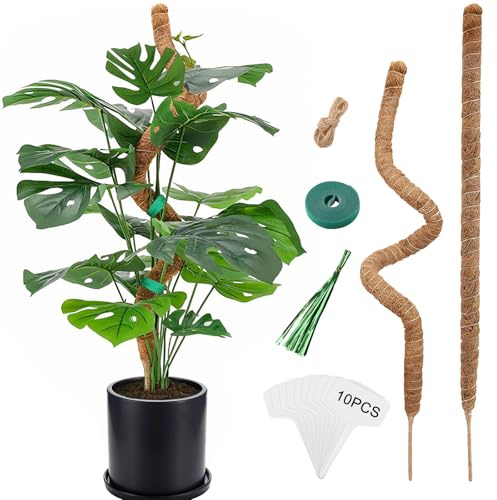 Chicpant 1 Pezzi Sostegno Bastone per Piante Rampicanti 120CM Supporto Monstera Deliciosa Totem di Cocco Bastoncini Tutore per Piante per Casa Giardino Balcone