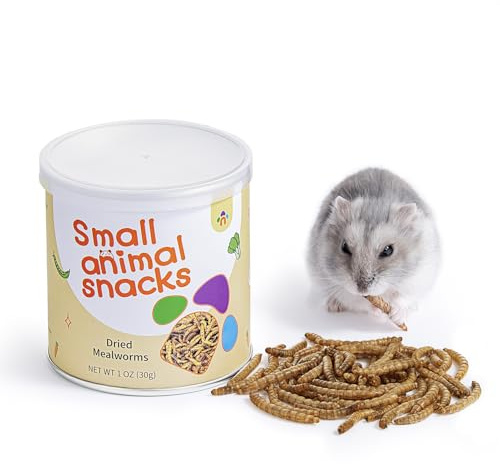 Niteangel Hamster-Snacks und Leckerlis Spielzeug - Natürlicher Leckerbissen für Zwerghamster, Syrische, Robo, Gerbils, Mäuse, Degus (Getrocknete Mehlwürmer - 30g)