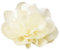 MYMERCERIE Broche Fleur 11cm Ivoire