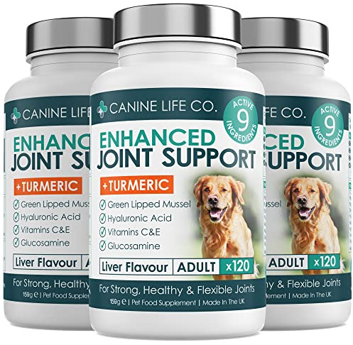 Canine Life Co. Enhanced Adult Dog Joint Supplements With Turmeric, Glucosamine & Green Lipped Mussel | 360 Chewable Tablets | Made In The UK (3 Pots (360 Tablets))