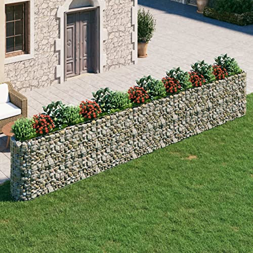 DJEKA Gabbioni Metallici per Pietre Gabbioni per Sassi da Giardino Gabbione Fioriera in Acciaio Zincato 610x50x100 cm