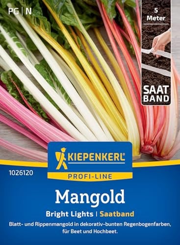 Kiepenkerl Profi-Line Mangoldsamen Bright Lights 1026120 - Buntes Mangold Gemüsesamen-Saatband, dekorativ-bunte Regenbogenfarben, Perfekt für Beet, Hochbeet und Kübel
