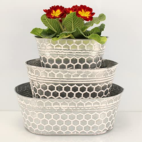 OF 3 ovale Blumentöpfe aus Metall im Set mit Wabenmuster - Kräutertopf Blumenkasten P64, Silber/Weiß
