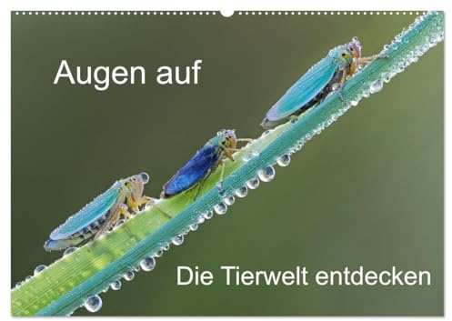 Augen auf - versteckte Tierwelt (Wandkalender 2026 DIN A2 quer), CALVENDO Monatskalender: Die Natur steckt voller Überraschungen. (CALVENDO Tiere)