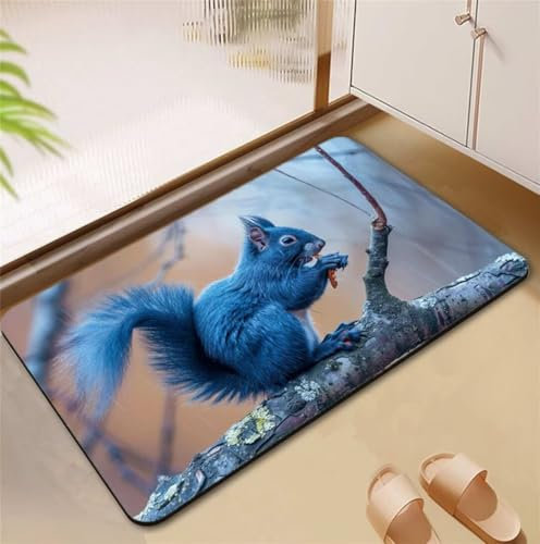 Tappetino Bagno, Tappeto Bagno Antiscivolo Assorbente 80x120cm Tappeti Bagno Squirrel, Lavabile Tappeti da Bagno Asciugatura Rapida Tappetino Bagno Doccia, Floor Bath Mat per Bagno Cucina D4-720