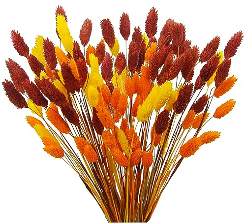 CEWUDA 100 Pezzi Mazzi Fiori Secchi Autunnali Erba di Pampas Essiccata Naturali Fiori Secchi Decorativi Bouquet Fiori Essiccati per Interno Home Matrimoni Feste Boho Decor