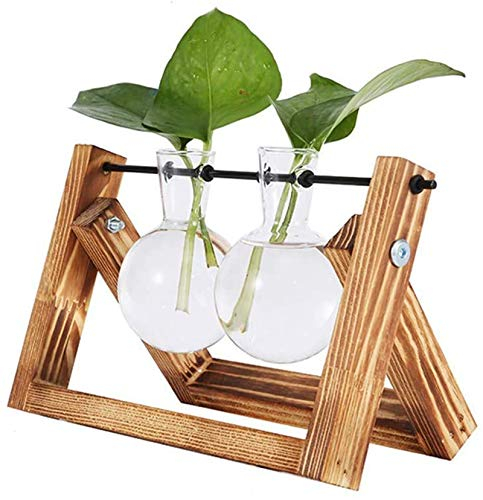 Vandove Hydroponik Vase, Hängevase Pflanzenvase Glasvase Planter Bulb Vase, Blumenvase Tischvase Dekovase Deko Holz Halte, für Home Garden Office Dekoration (2 Vasen)