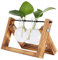 Vandove Hydroponik Vase, Hängevase Pflanzenvase Glasvase Planter Bulb Vase, Blumenvase Tischvase Dekovase Deko Holz Halte, für Home Garden Office Dekoration (2 Vasen)