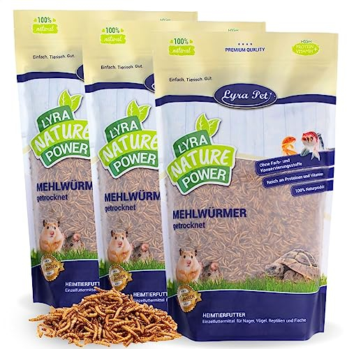 Lyra Pet® 3 x 5 kg de vers de Farine séchés | Nourriture Riche en protéines | pour Oiseaux Sauvages, rongeurs, Reptiles & Poissons | Source d'énergie pour Insectivores | Vitamines & minéraux