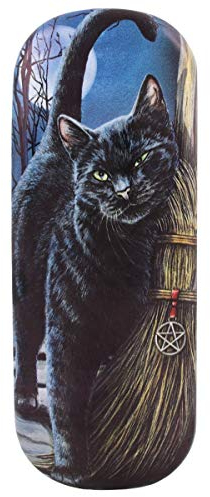 Something Different Brillenetui/Brillenetui/Halter ~ Pinsel mit Magik (Katze) Lisa Parker, verschieden, Einheitsgröße