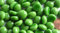 70g Mini Glasnuggets 10-12mm Muggelsteine ca. 50 Stück Glassteine Dekosteine (Grün opak)