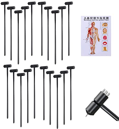 7 Star N_eedle Akupunktur, 7 Sterne N_Nadel & Pflaumenblüte Dermal Hammer Breite eine Tabelle – Akupunktur Menschlicher Körper Diagramme Meridiane (20 Stück Breite einer Akupunkturtabelle)