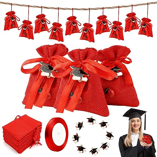 ANZOAT 30 Kit Bomboniere Laurea, Sacchetti Laurea Portaconfetti | 30 Ciondoli Laurea, 50 Coccinella, Con Nastro, Decorazione Cerimonia, Decorazione cerimonia laurea, Regalo Fai da Te