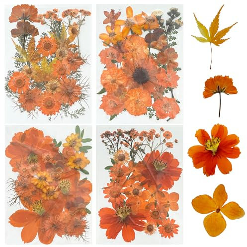 Woohome 85 Pz Naturali Pressati Fiori Pressati Secchi, Arancia Foglie Pressate Secche Naturali per Resina, Fiori Secchi Veri Pressati Fiori per Scrapbooking, Gioielli in Resina Epossidica