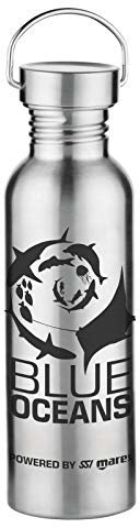 SSI Blue Oceans Stainless Steel Drinking Bottle 750 ml