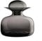 ASA 53501009 Karaffeen, Glas