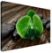 Estika Leinwand bilder - Grüne Orchidee auf Bambusmatte - 60x40 cm, 1 teilige kunstdruck - Wandbilder wohnzimmer, schlafzimmer, Moderne wanddeko, Bild auf leinwand - SPA bilder - 1770A_1E