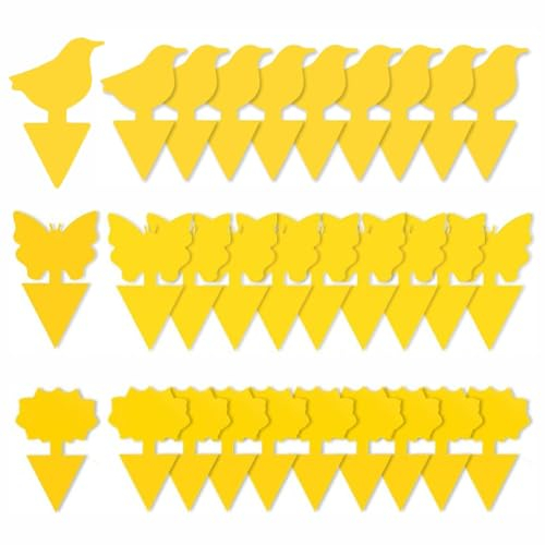 LSRVNM 30 Pack Fruit Fly Trap, Double-sided Fungus Gnat Sticky Catcher for Plants Indoor and Outdoor Plant Bug, Insects Killer Fly Control for Houseplant