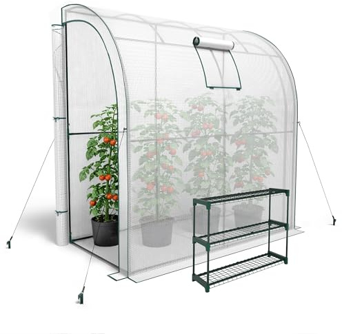 KANWOD Serra a Parete da Giardino con Scaffale, Finestra e 2 Porte Avvolgibili, Invernale, Robusta, Stabile e Facile da Montare, Serra orto per Protezione Piante, Verdure, Fiori 200x100x210 cm
