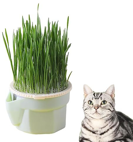 EBbels Cat Grass Growing Kit, Cat Grass Seeds Plant, Hydroponic Catnip Plant, Chewing Kitten Grass Plant Growing Set for Cat Snacks, Cat Grass Seeds Sprouting Trays