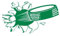 Wandtattoo, Wandkunst, Aufkleber, Wandtattoo, Wandaufkleber, Drak Green, 30 x 17 cm