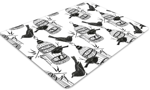 Bodenschutzmatte 140x100 cm PVC Vinyl Rechteckig Wasserdicht Bodenschutz rutschfeste Matte Kratzschutz Stuhl Unterlage für Büro & Zuhause Dekoration und Schutz - Vogelkäfige