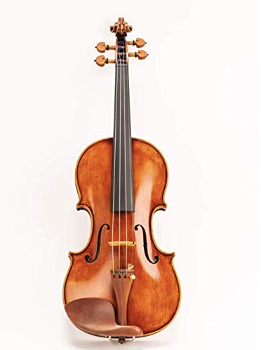 D Z Strad 120