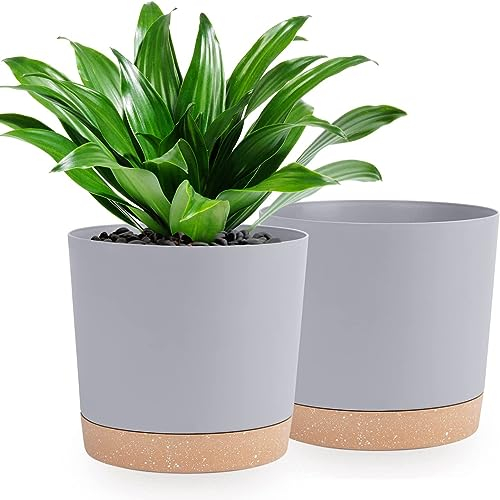 QCQHDU Bumentöpfe 2er Pack 25.4cm,Bumentöpfe für Zimmerpflanzen mit Entwässerungslöchern und abnehmbarem Boden,Untersetzer Modern Dekorativ für Garten Pflanzgefäße im Freien(Hellgrau 25.4cm