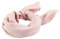 GUESS Aveta Scarf 80x180 Rose