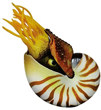 ABOOFAN Sommerstimmung mit Dekorativen Aquarium Dekorationen aus Kunststoff Kreative Nautilus Muscheln für Fischtankdekoration und Selbstgemacht Material zur Mediterranen
