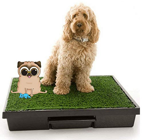 Portable Dog Toilet Artificial Grass Washable Mat Kit with easy clean removable Pee Tray for Indoor House or Outdoor Garden use and Puppy Toilet Training suitable for Small or Large Dogs