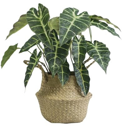 VerdantCharm Alocasia Plante Artificielle à Feuilles Noires – 46 cm de Haut | Plantes artificielles d'intérieur | Décoration de Salon, Chambre, Balcon et Bureau