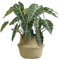 VerdantCharm Alocasia Plante Artificielle à Feuilles Noires – 46 cm de Haut | Plantes artificielles d'intérieur | Décoration de Salon, Chambre, Balcon et Bureau