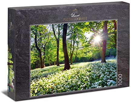 Ulmer Puzzleschmiede - Puzzle „Frühlingssonne“ - Klassisches 1000 Teile Natur-Puzzle Made in Germany - Die warmen Sonnenstrahlen beleben den Wald im Frühling, Blumen blühen, die Landschaft erwacht